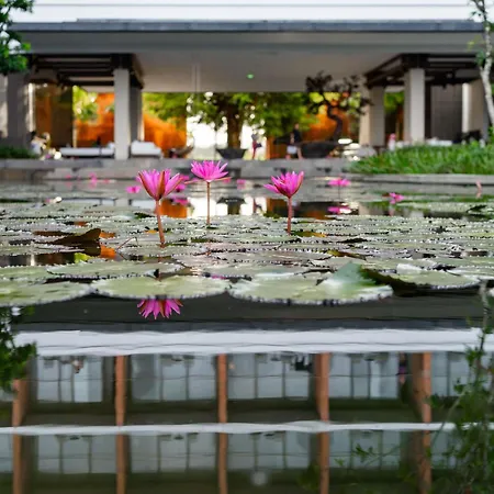 Pullman Khao Lak Resort-2